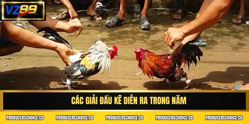 Các giải đấu kê diễn ra trong năm