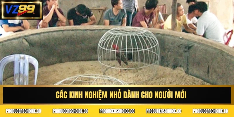 Các kinh nghiệm nhỏ dành cho người mới