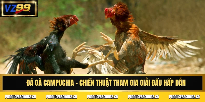 Đá gà Campuchia