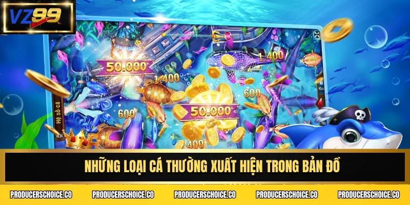 Những loại cá thường xuất hiện trong bản đồ