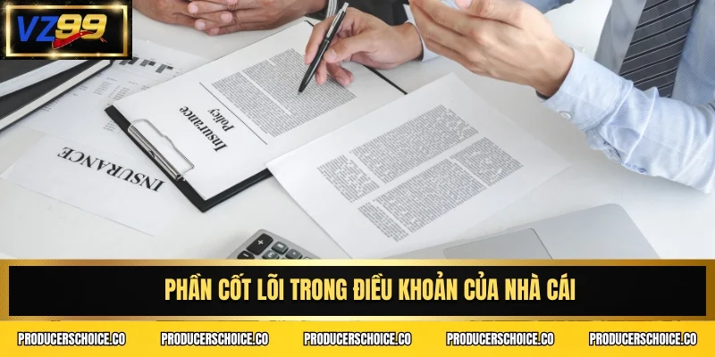 Phần cốt lõi trong điều khoản của nhà cái